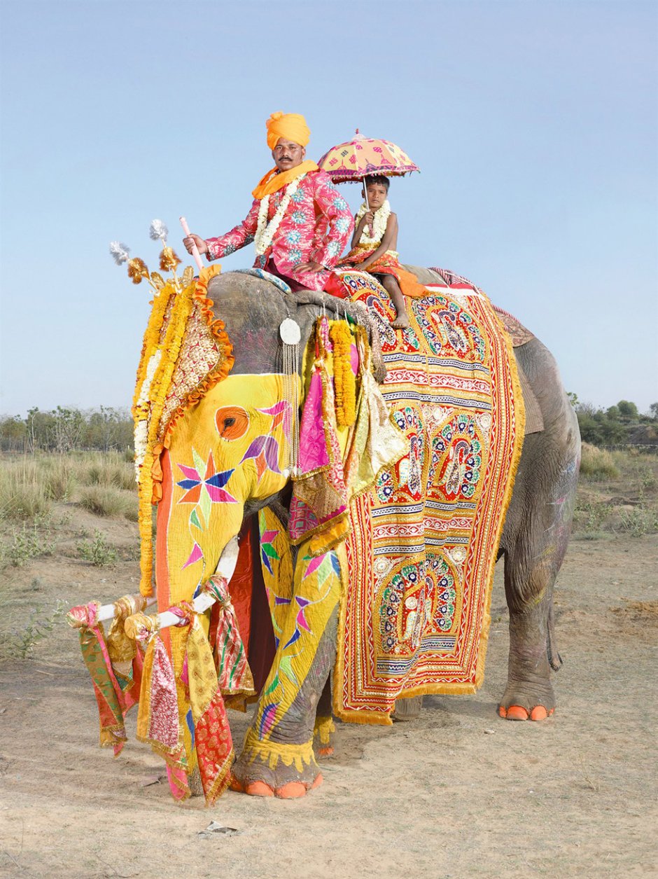 Фестиваль слонов — Джайпур, Индия