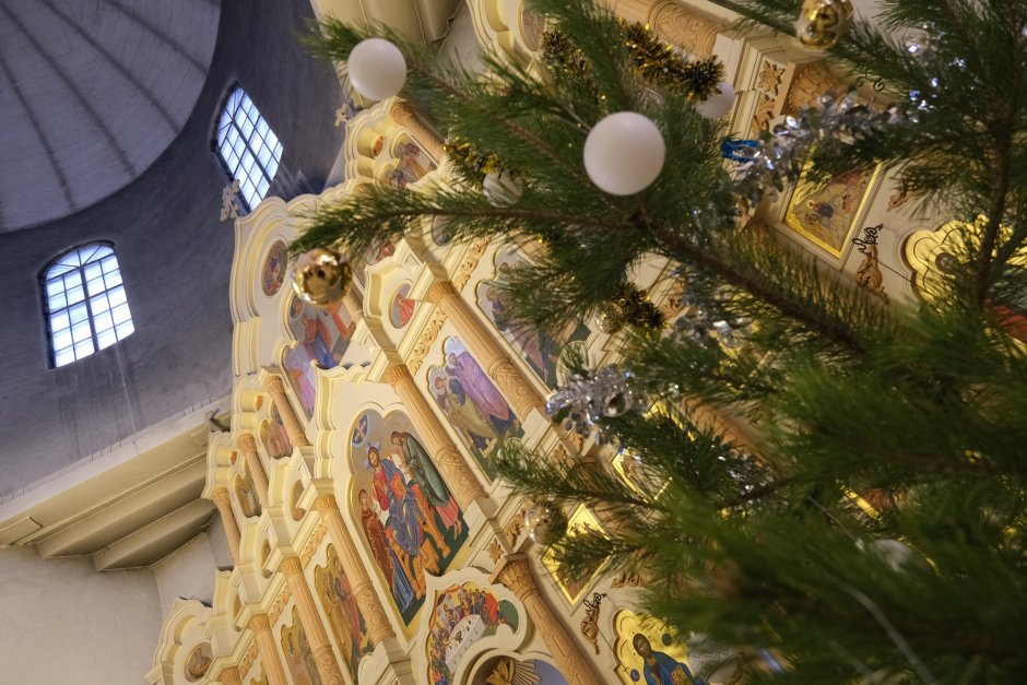 Христорождественский кафедральный собор Рязань крещение