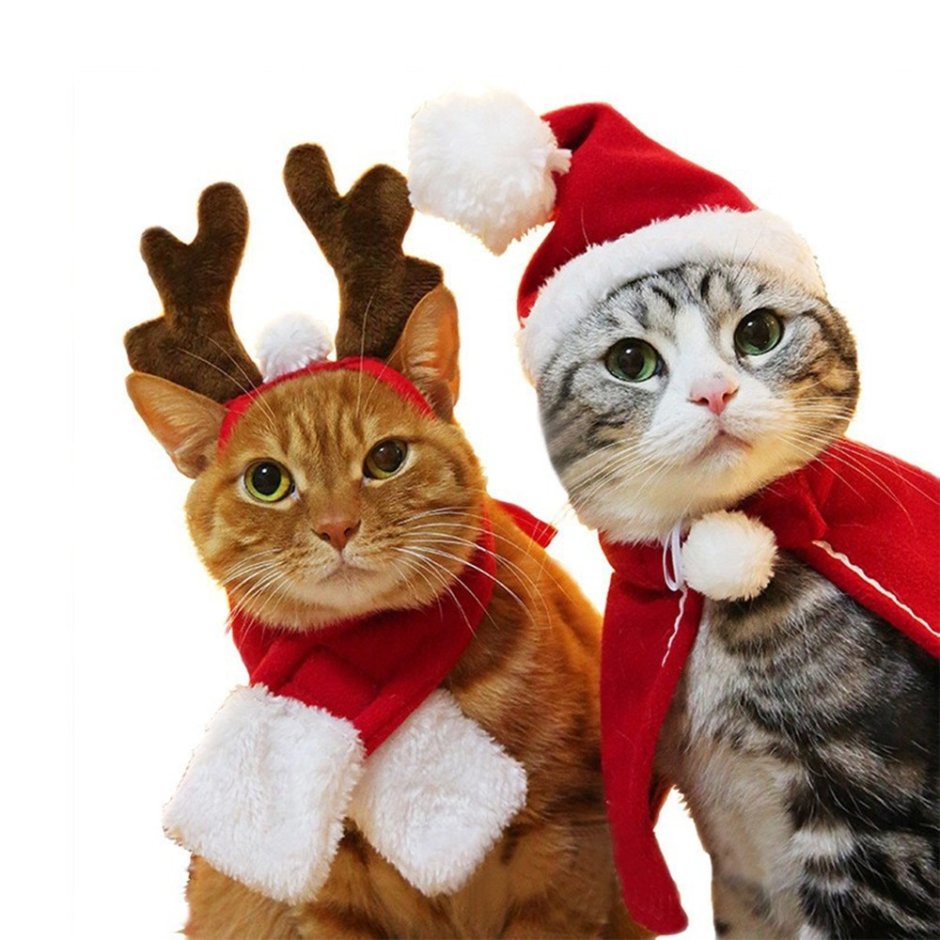 Новогодние костюмы для котов