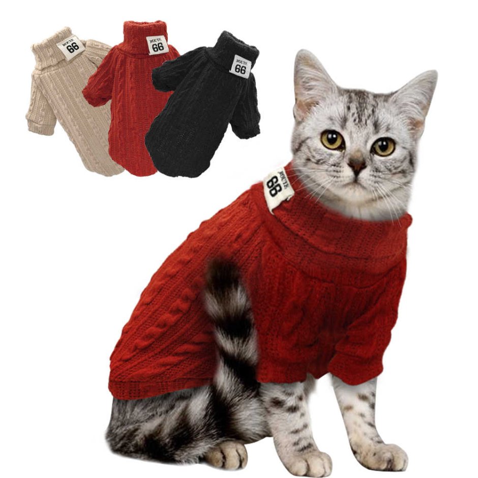 Прикольная одежда для котов