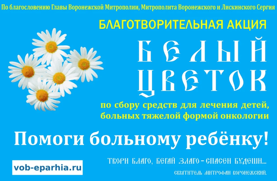 Белый цветок благотворительная акция Воронеж