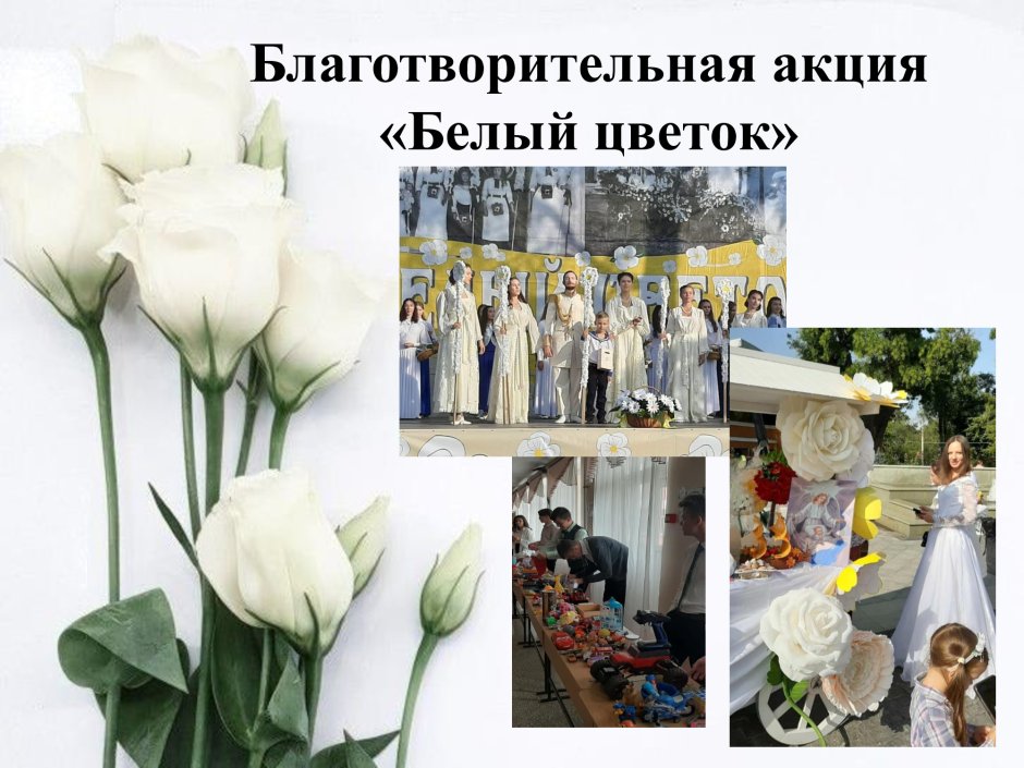 Белый цветок 2019 Каменская епархия
