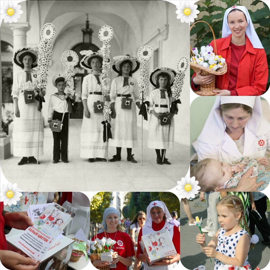 Белый цветок благотворительная акция Царская семья