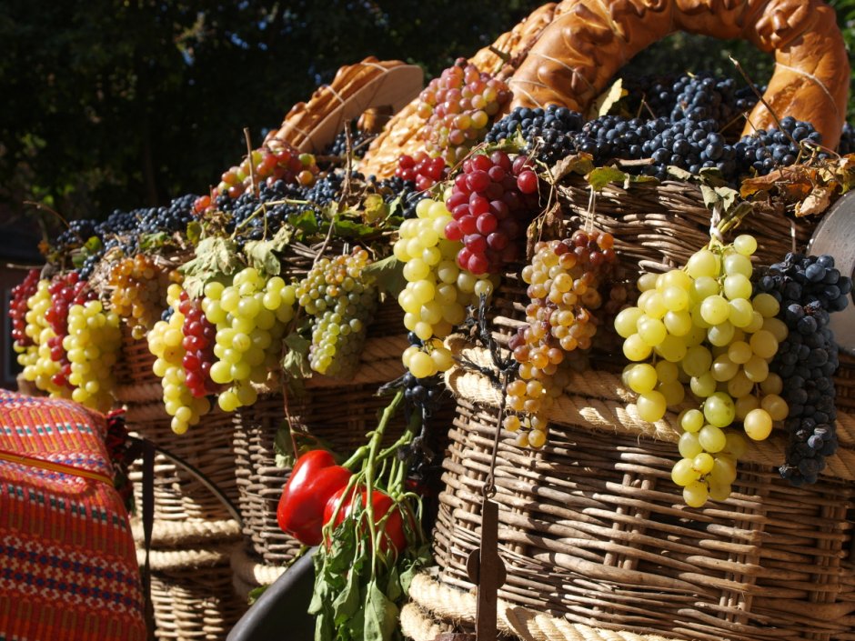 Фестиваль винограда в Италии