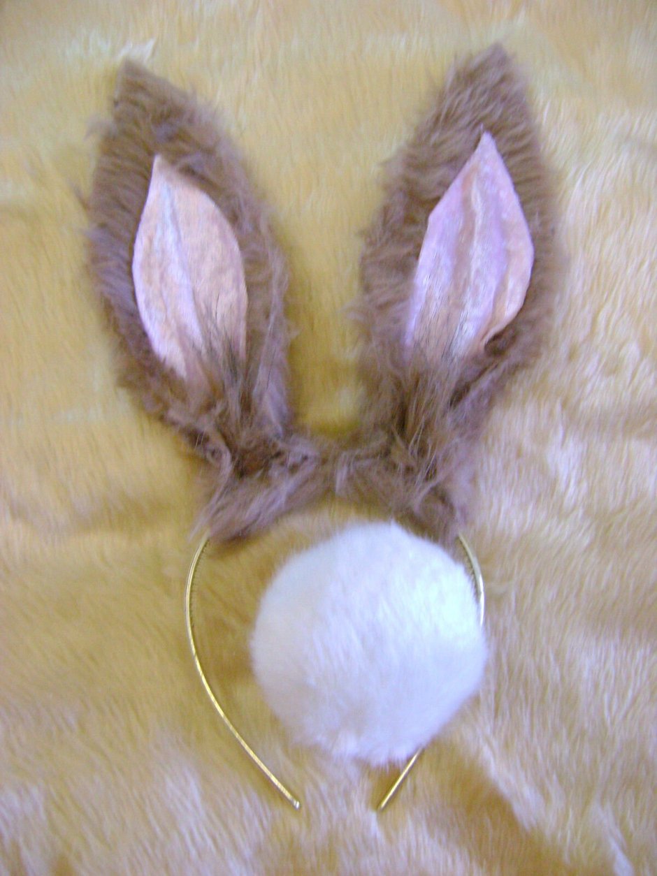 Пушистые уши зайца