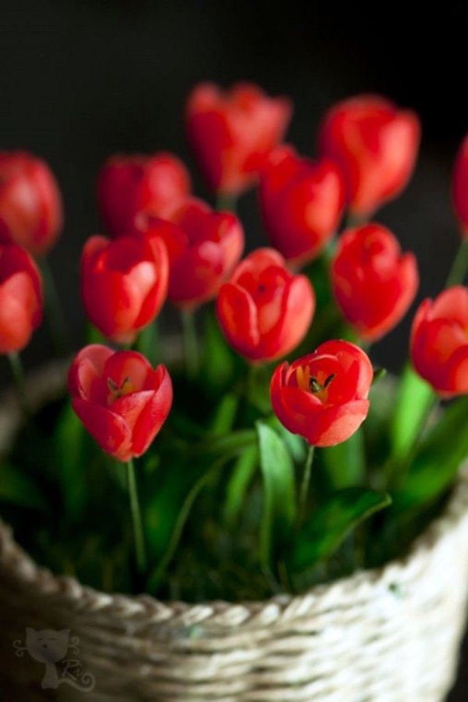 Красные тюльпаны с другими цветами