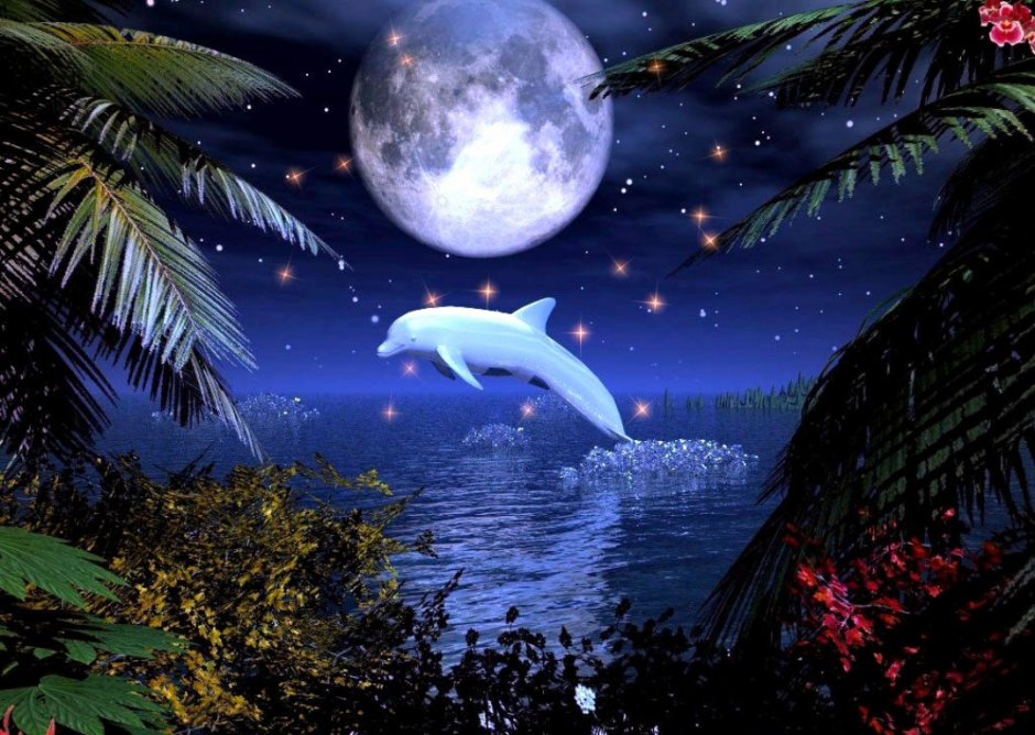 Дельфины ночь Луна