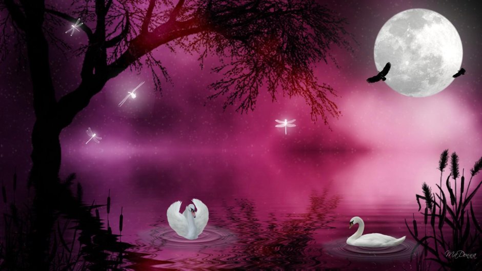 Ночь озеро лебеди Луна