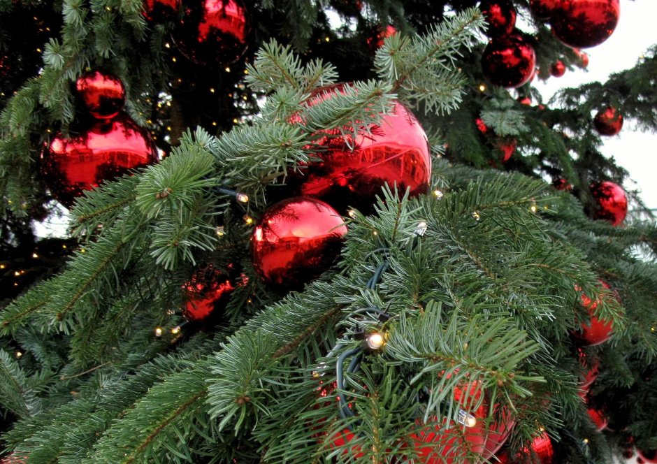 Новогодняя елка с красными шарами
