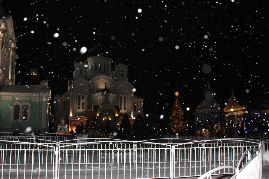 Дивеево монастырь Рождество 2021