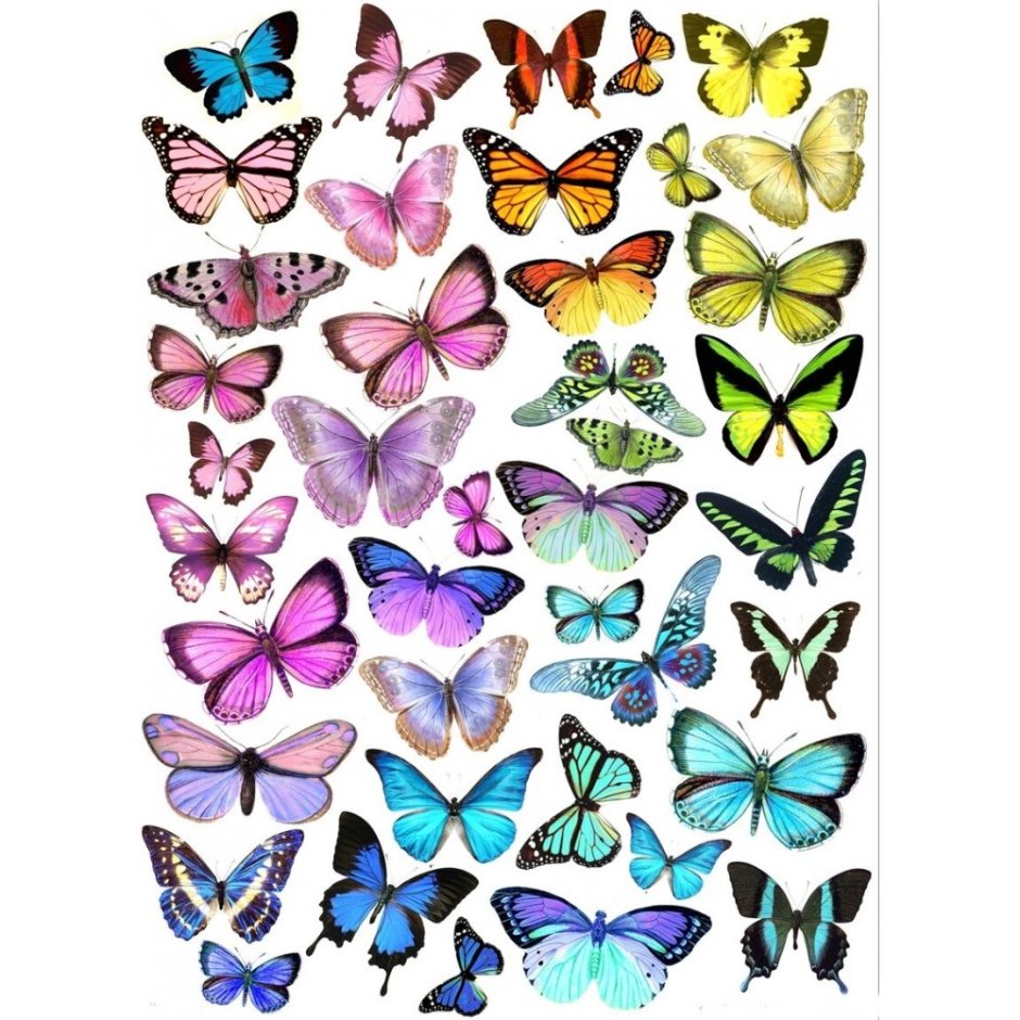 Бабочки для скрапбукинга