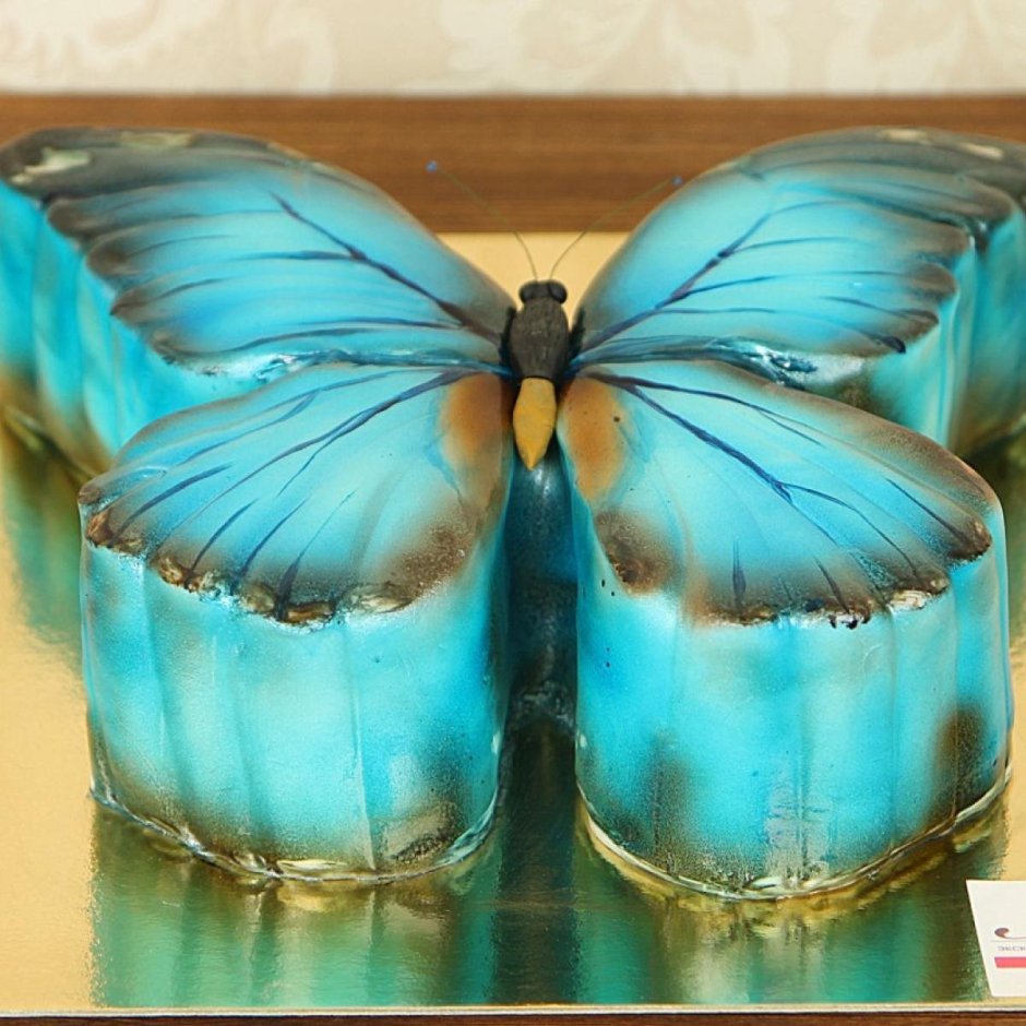 Торт в виде бабочки