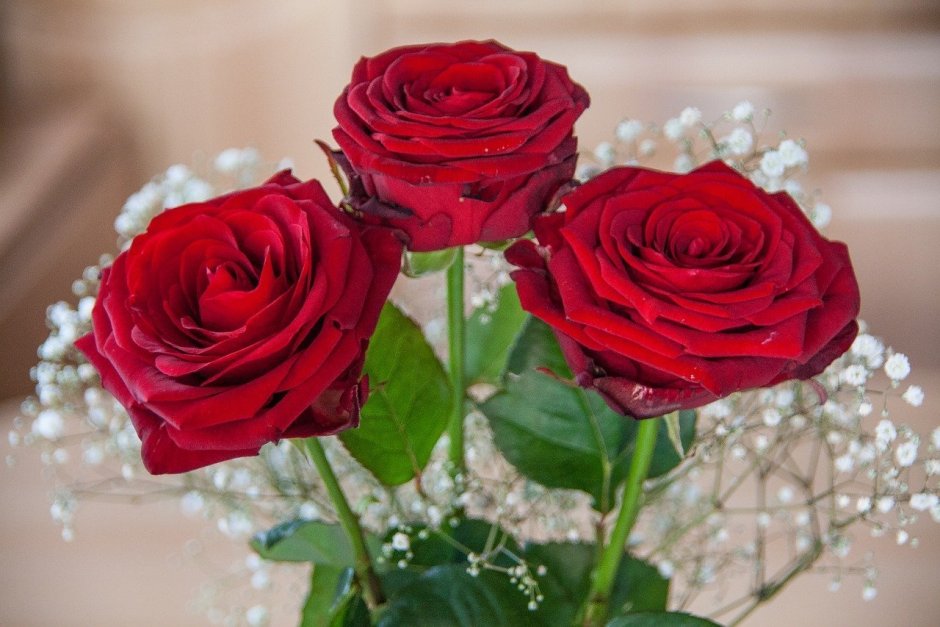 Розы для любимой женщины