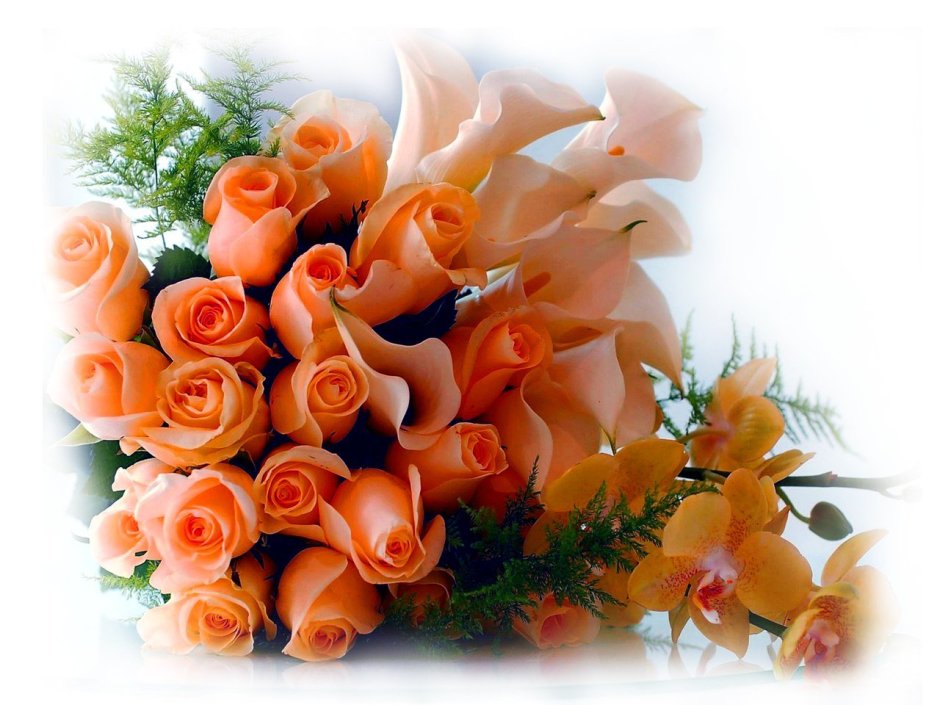 Оранжевые цветы для поздравлений