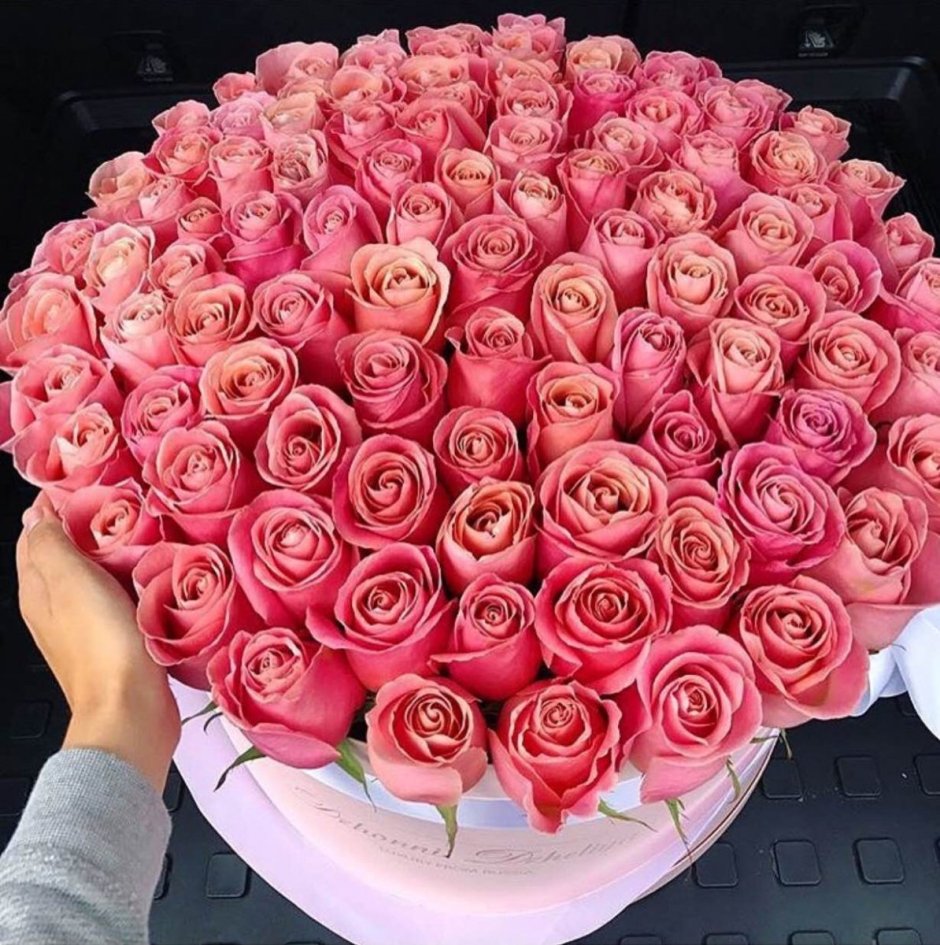 Букет роз Инстаграм