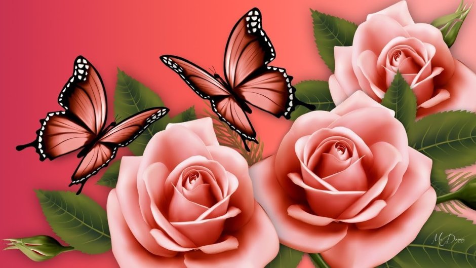 Красивые открытки с цветами бабочками