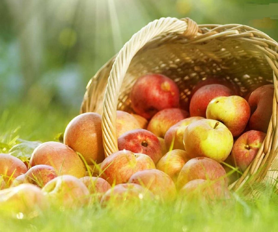 С яблочным Спасом здоровья