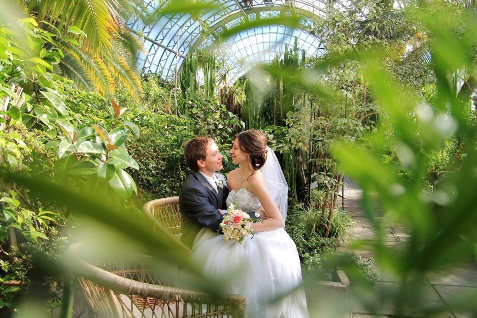 Таврический сад в Санкт-Петербурге оранжерея свадьба