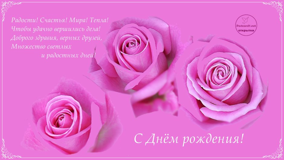 Поздравления с днём рождения женщине по имени роза