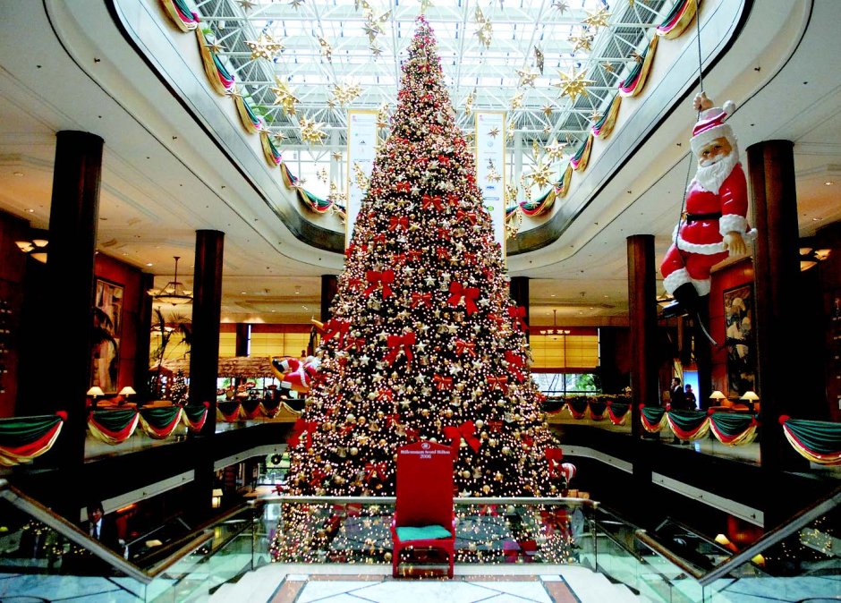 Рождественские елки в Южной Корее