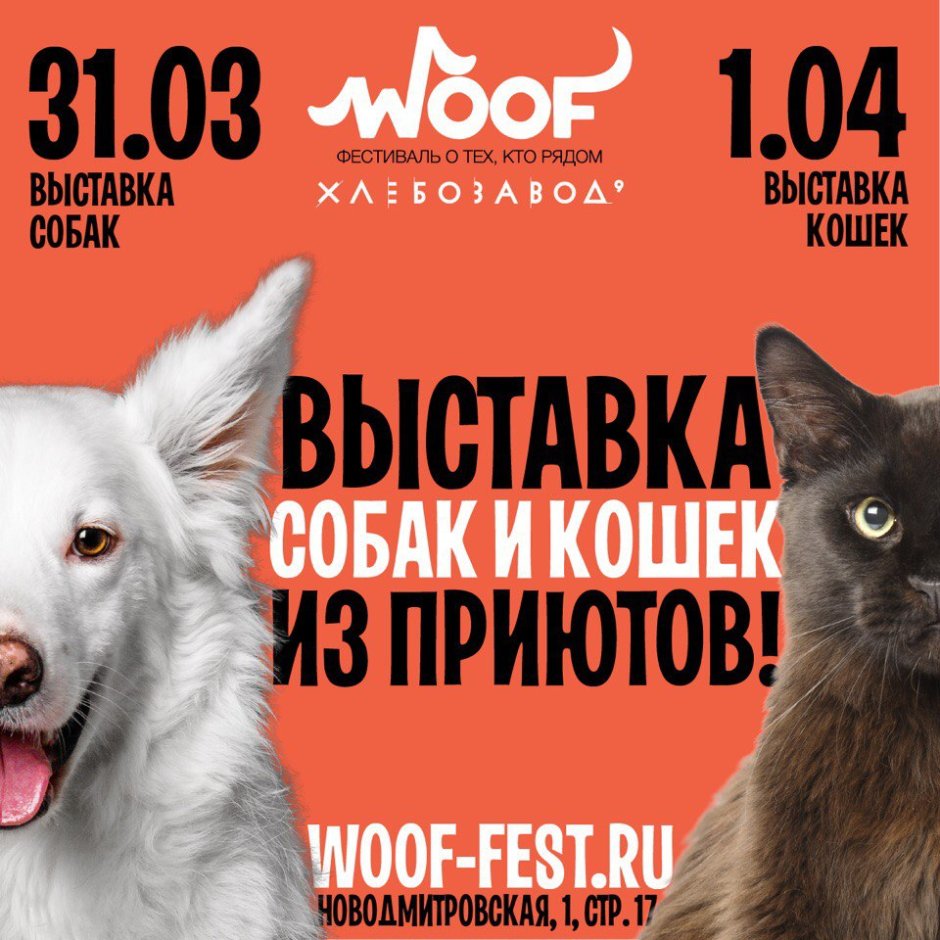 Woof Fest Краснодар