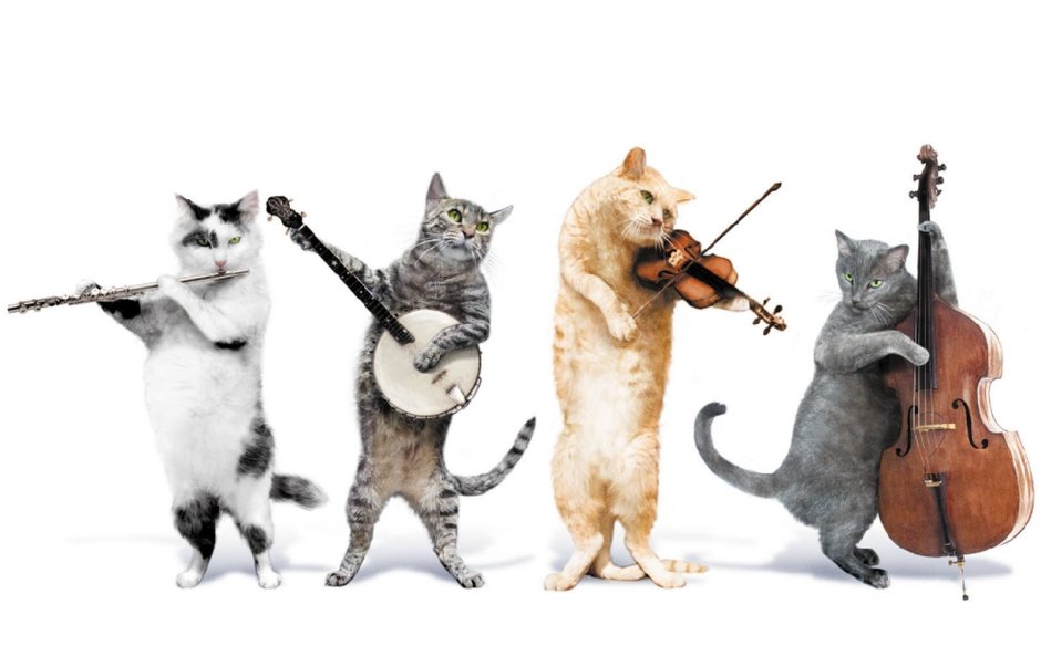 Коты играющие на музыкальных инструментах