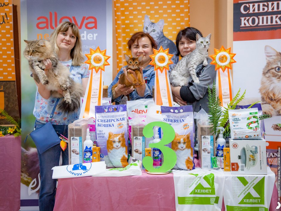 КЛК Москва выставка кошек 2021