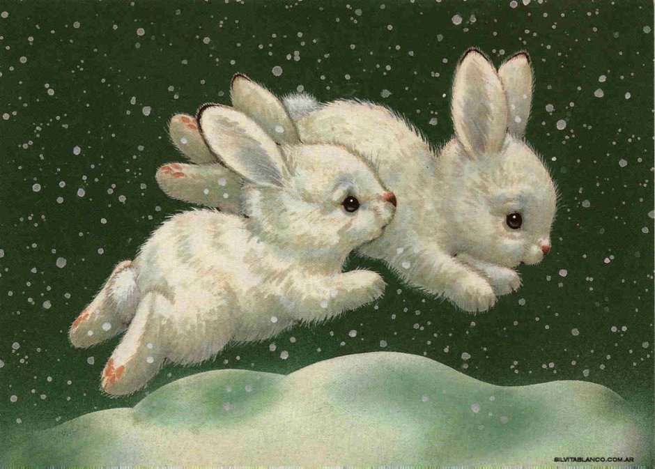 Белый кролик на снегу