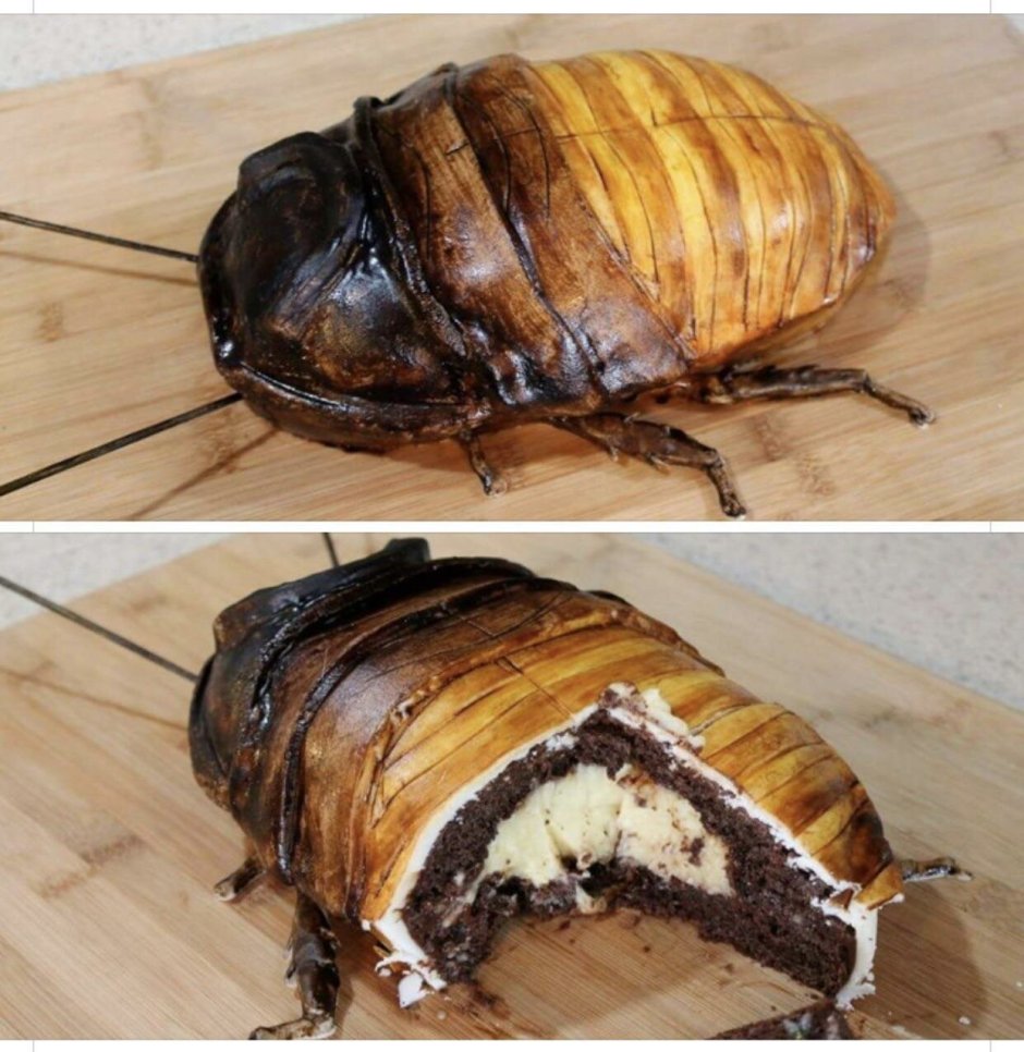 Торт в форме таракана