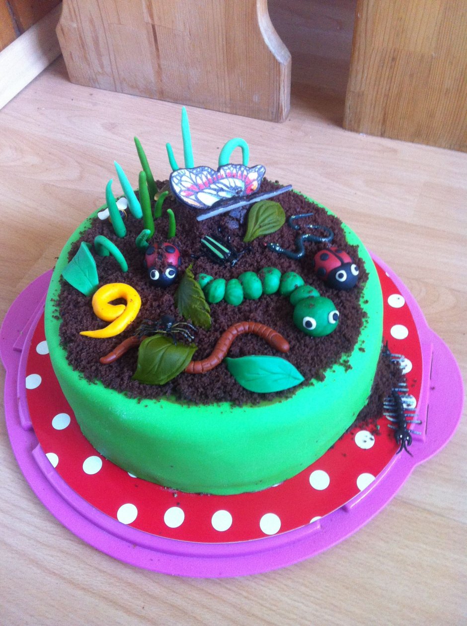 Детский торт с жуками