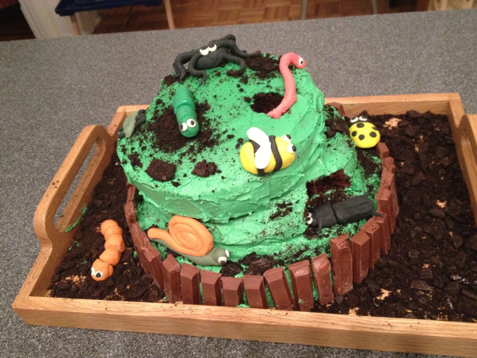 Торт с насекомыми для мальчика 10 лет