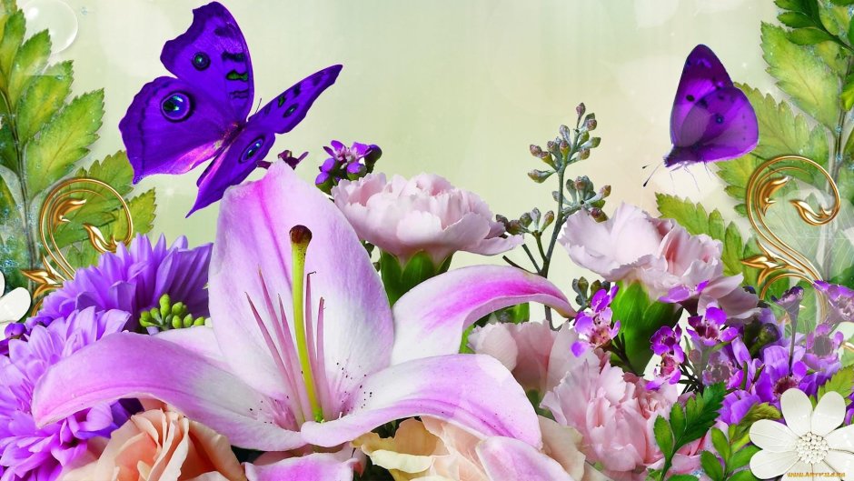 Красочные цветы и бабочки