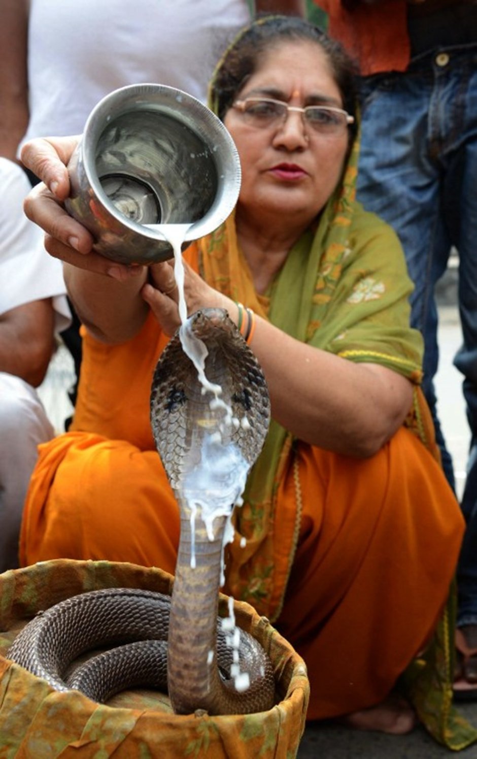 Праздник Nag Panchami в Индии