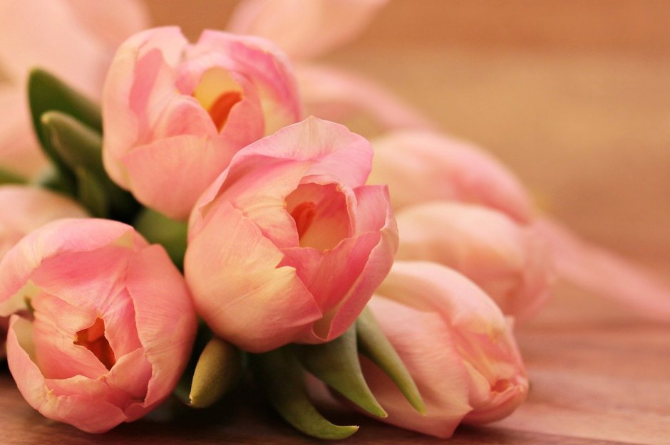 С днём рождения нежные тюльпаны