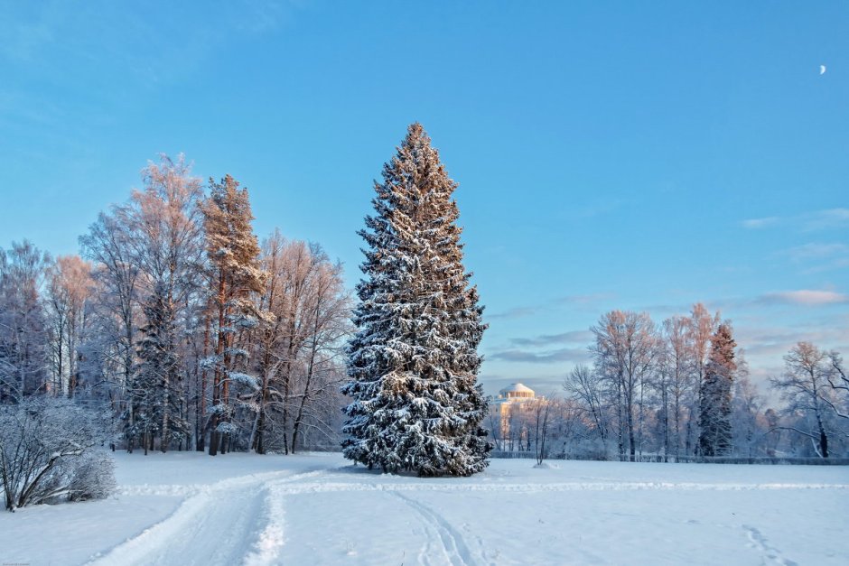 Русская зима в Санкт-Петербурге