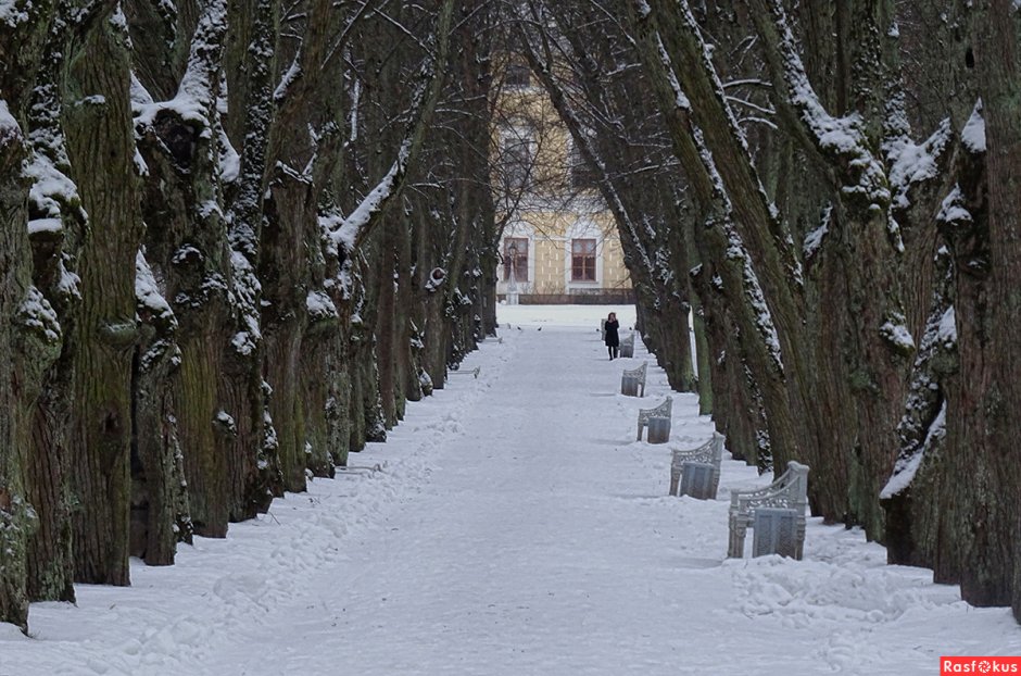 Павловский парк Пушкин зима