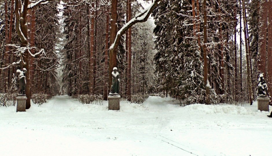 Михайловский сад Питер зимой