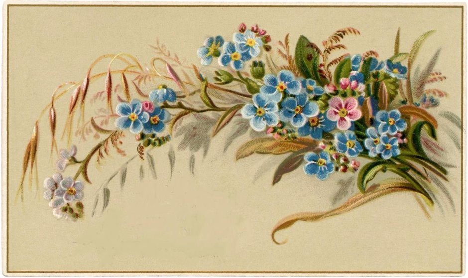 Старые открытки с цветами