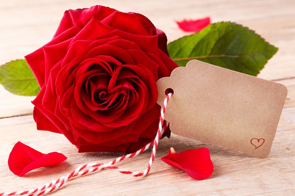 День Святого Валентина розы
