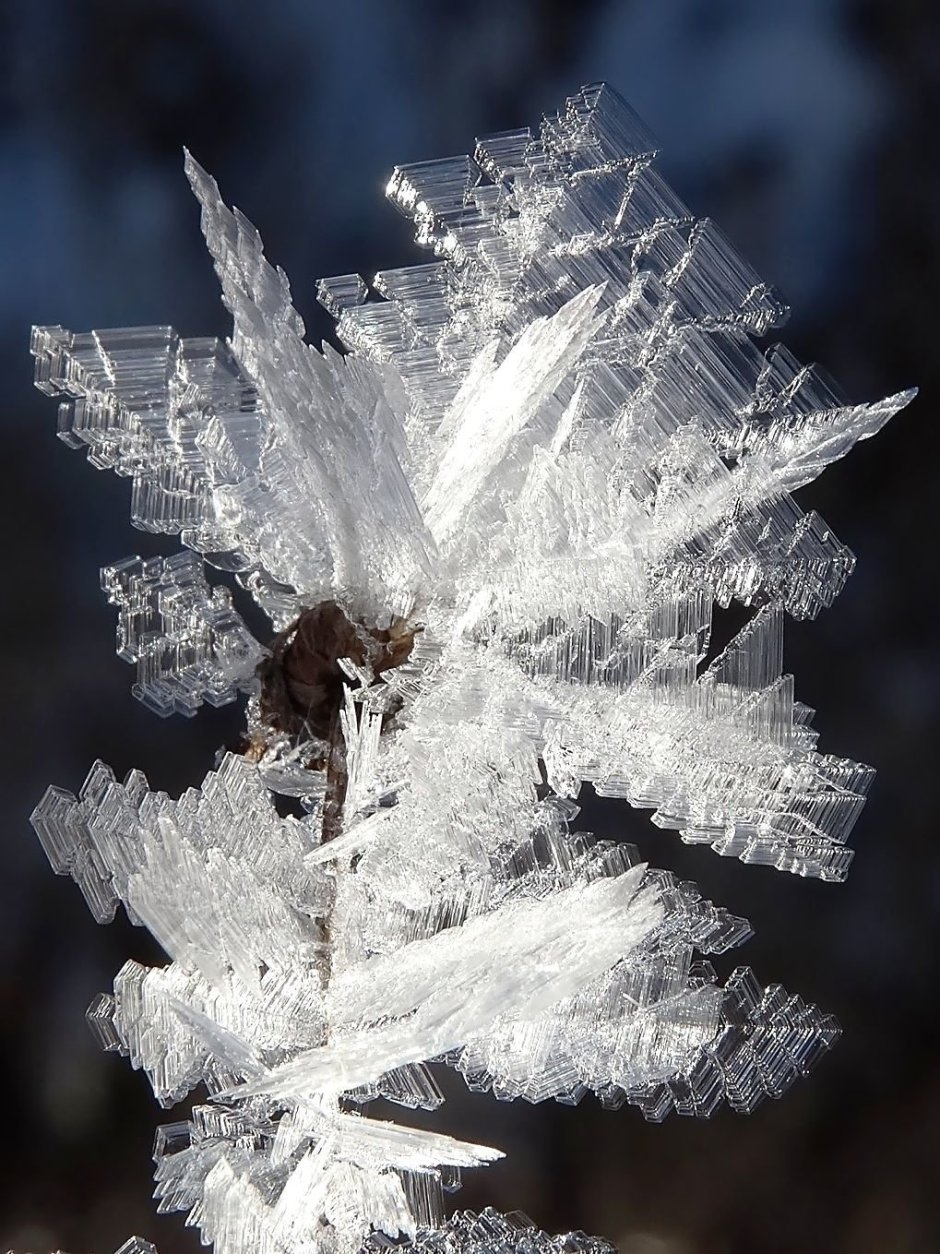 Кристаллики льда