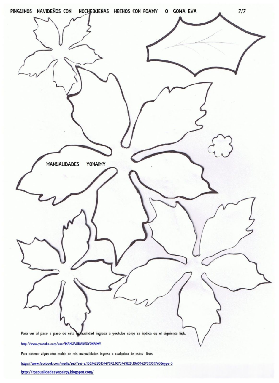 Цветы из фоамирана пуансеттия выкройки