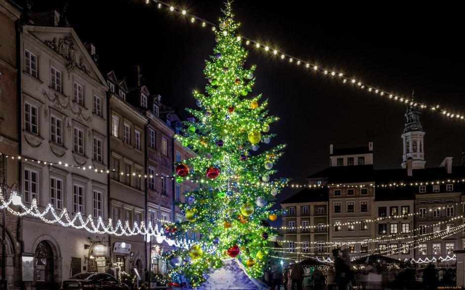 Новогодняя елка в Дании