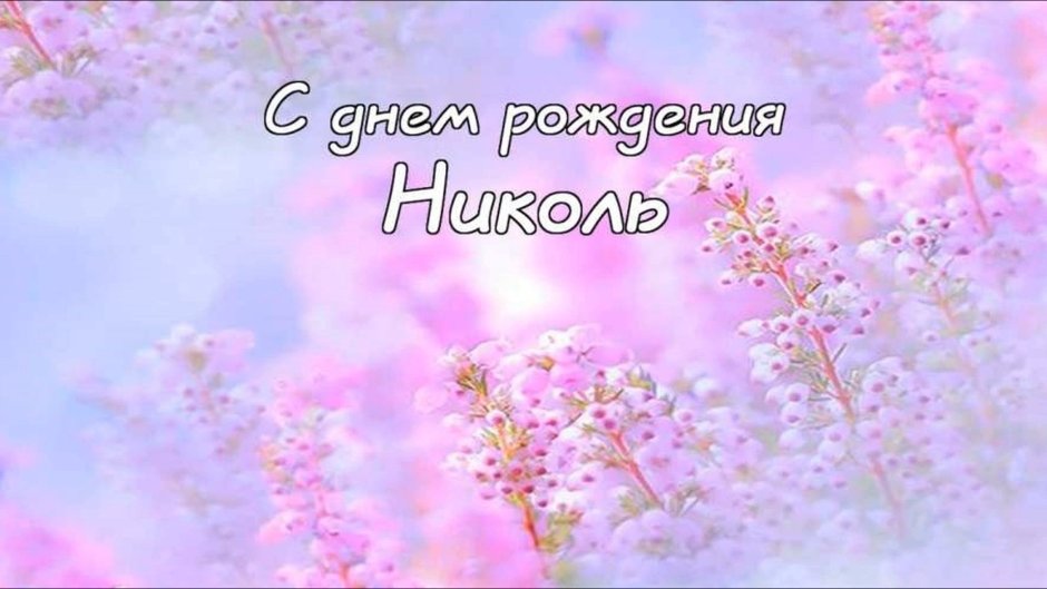 С днем рожденич Ланочка