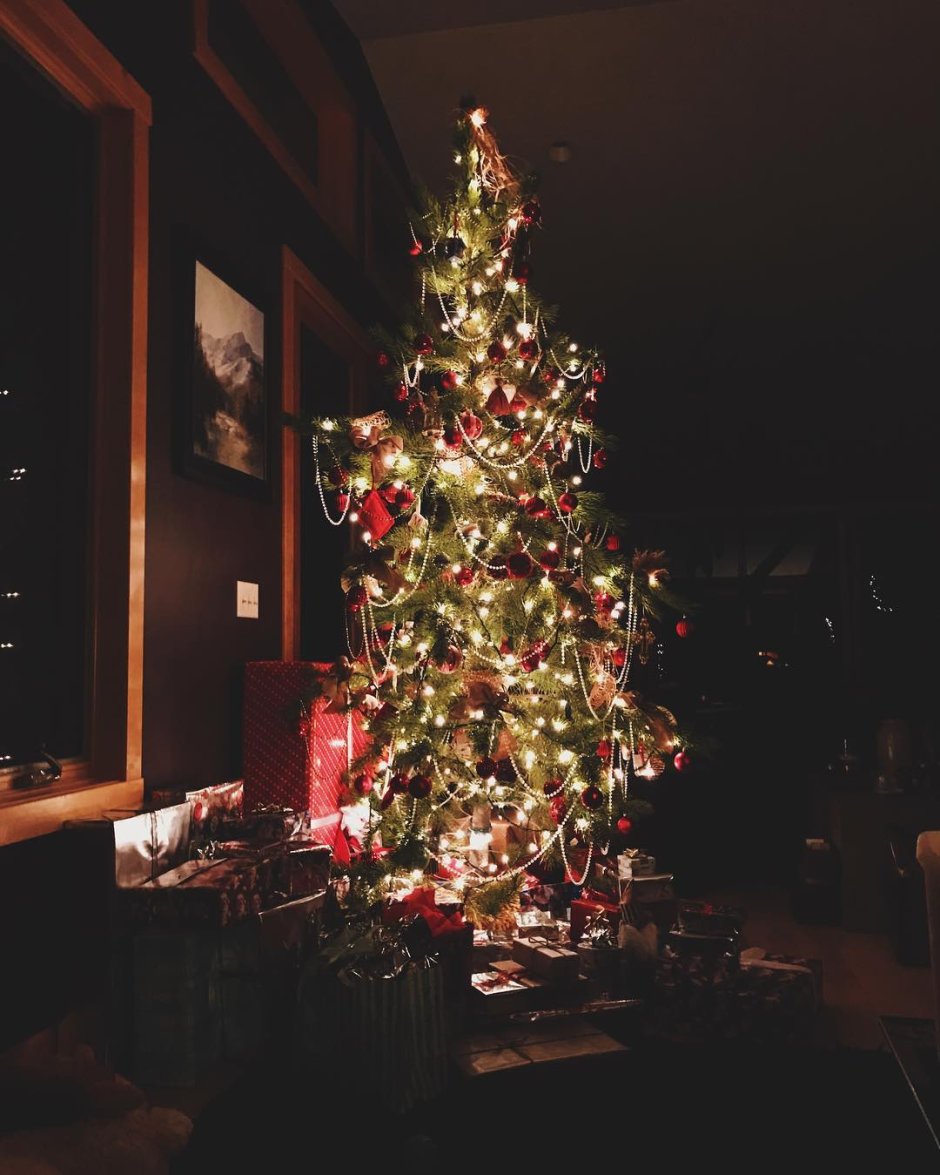 Рождественская елка Эстетика