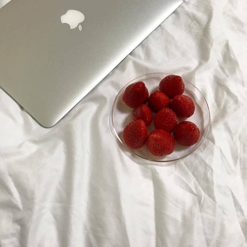Елочная веточка с ягодами