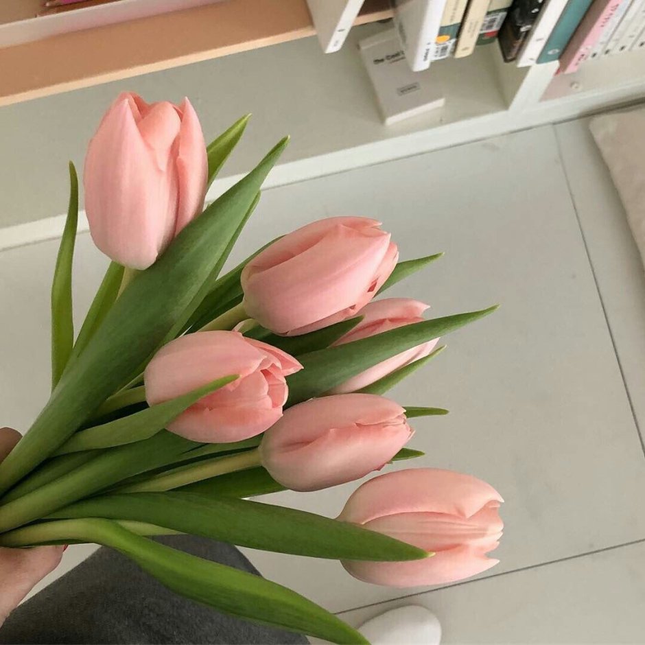 Букет тюльпанов в квартире