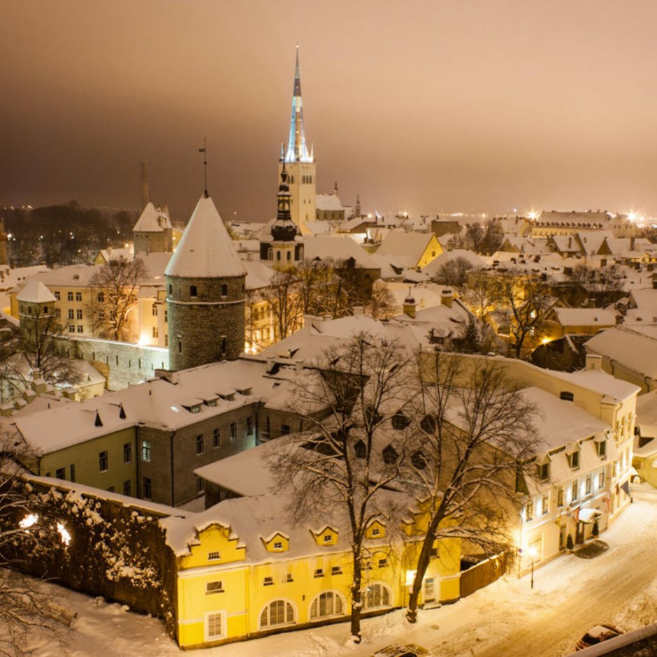 Зимняя Эстония панорама Ревель