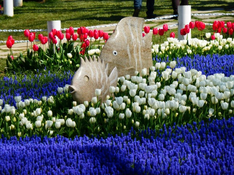 Парк тюльпанов в Турции