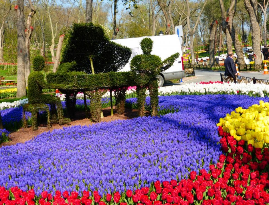 Парк Эмирган фестиваль тюльпанов