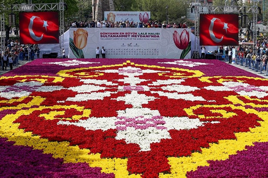 Фестиваль тюльпанов в Стамбуле гифки